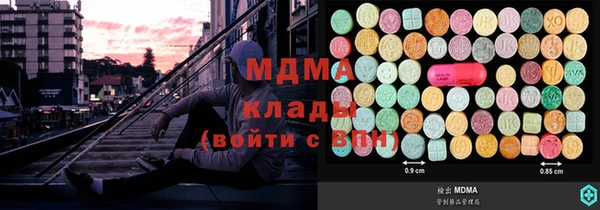 стаф Верея