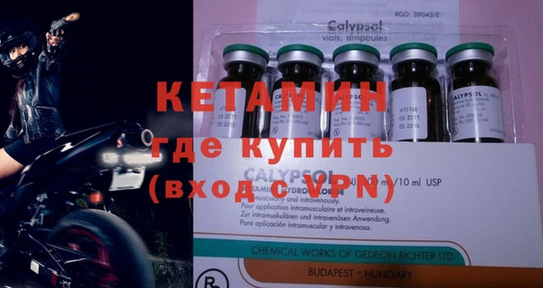 дурь Бородино