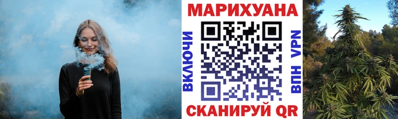 Канабис White Widow  Кизляр 